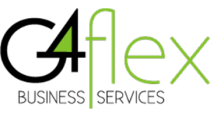 G4 FLEX COMÉRCIO E SERVIÇOS DE INFORMÁTICA
